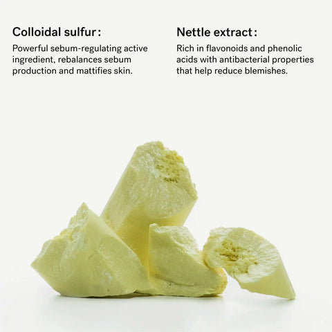 Blemish Control Face Scrub